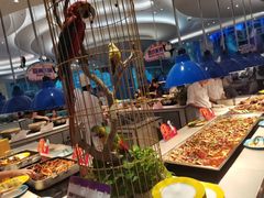 -帝企鹅自助餐厅•儿童岛•真企鹅(长隆企鹅酒店)