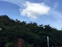 -野狸岛