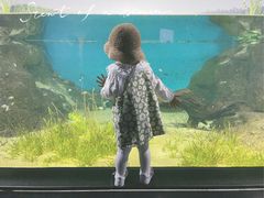 -江和美海洋公园