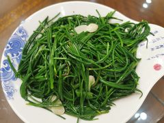 -范记靖远羊羔肉(博物馆店)