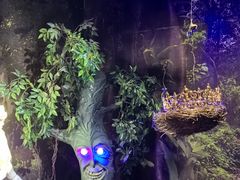 -逃脱反斗城沉浸剧情密室(北京路店)