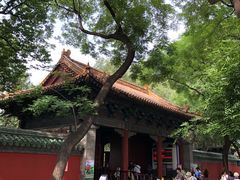 -北京国子监胡同
