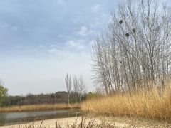 -大兴滨河森林公园