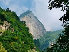 -青峰峡国家森林公园