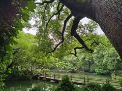 -惠山古镇·寄畅园