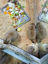 -未来动物城主题公园(正弘城店)