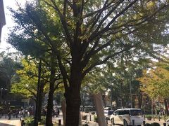 -维乐口腔医院(福清院)