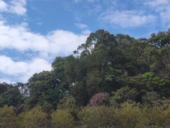 -火炉山森林公园