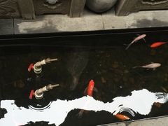 -唔呶喔哩酒家(生产街店)