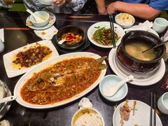 -陈麻婆豆腐总店