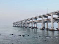 -星海湾跨海大桥