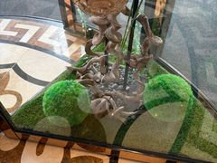 -上海圣淘沙万怡酒店