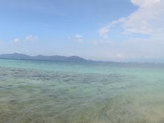 -东姑阿都拉曼海洋公园