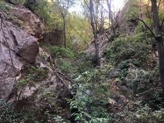 -大岭沟猕猴桃谷风景区