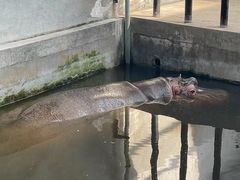 -石家庄市动物园