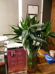 -FineYoga梵音瑜伽·普拉提