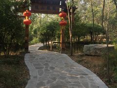 -封龙山风景区
