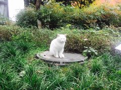 -西南民族大学南区(双流校区)