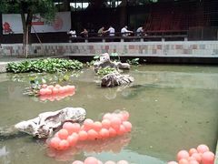 android_upload_pic-鼓楼(西湖风景名胜区)