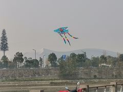 -代羊肉(中和店)