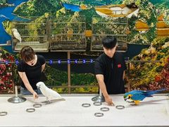 -燕塞湖鸟语林景区
