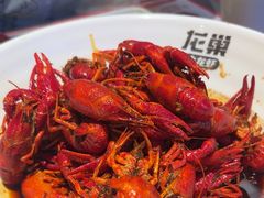 -龙巢盱眙龙虾·牛蛙·烧烤宵夜(八卦岭店)