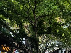 -磁器口古镇