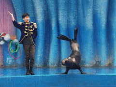 -华夏文旅海洋公园