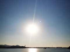 -望湖烤鱼