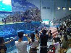 -福州罗源湾海洋世界旅游区