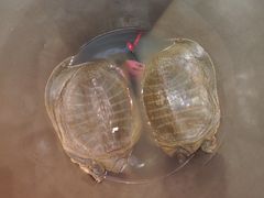 -湘语·湖南家常菜(新洲店)