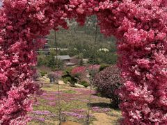 -石岛赤山风景区