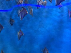 -石家庄极地海洋世界
