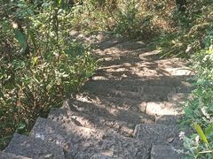 -黔灵山公园