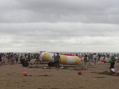 -日照海滨国家森林公园