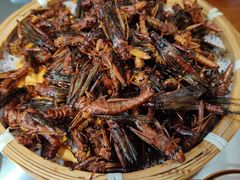 -山沟沟羊小馆&烤全羊羊肉汤(麦岛店)