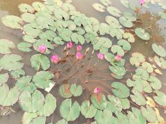 -五龙客家风情园