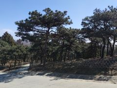 -北京西山国家森林公园