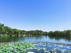 -承德避暑山庄景区