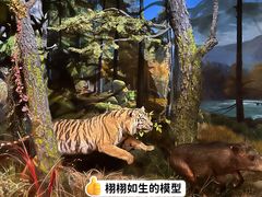 -上海自然博物馆
