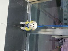android_upload_pic-宠颐生中康贝怡动物医院