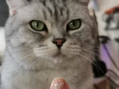 -平行世界·猫咖(首经贸店)