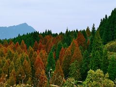 -山王坪喀斯特国家生态公园
