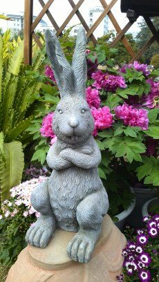 -华南国家植物园-售票处