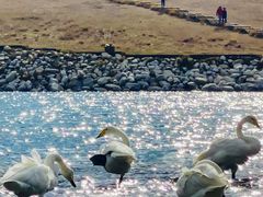 -新疆国际大巴扎