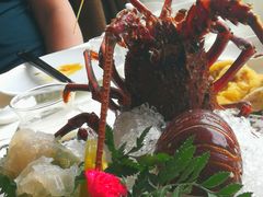 -小白鲨工夫潮膳(曲江店)