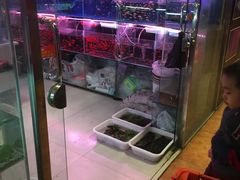-大自然花鸟鱼虫市场
