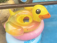 -哈尔滨波塞冬海底世界