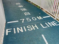 -银湖山郊野公园-相思林