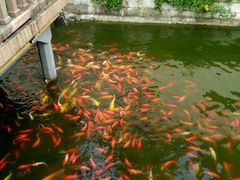 -豫园湖心亭茶楼